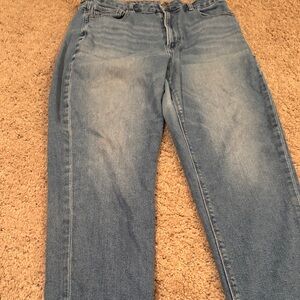 American Eagle Outfitters Skinny Leg: Mom Jean